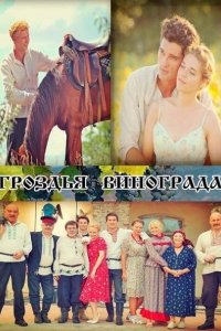 Гроздья винограда 2016