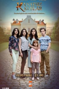 Птицы без крыльев 2017