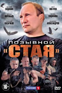 Позывной «Стая» 2013