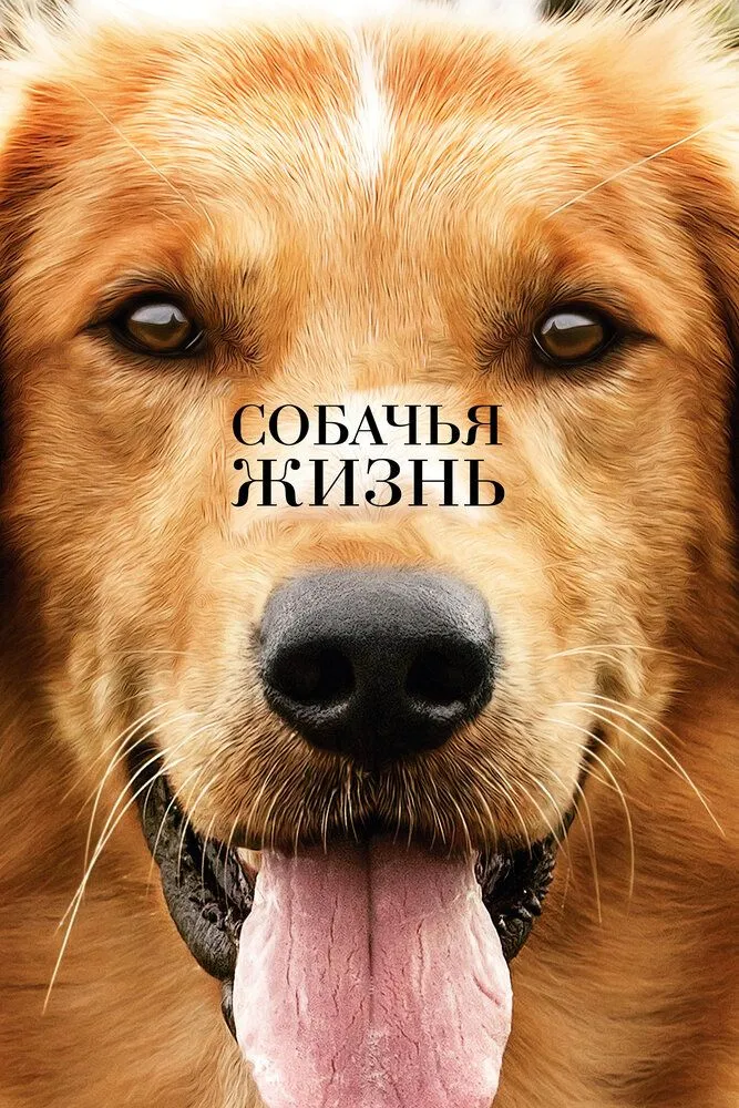 Собачья жизнь 2017 смотреть онлайн бесплатно