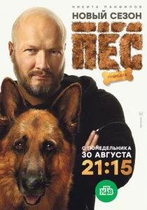 Пёс 2015 смотреть онлайн бесплатно