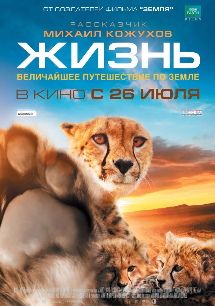 Жизнь 2011 смотреть онлайн бесплатно