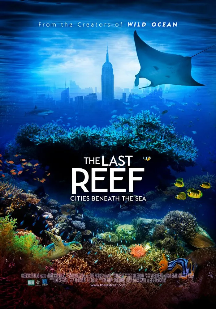 Последний риф 3D 2012 смотреть онлайн бесплатно