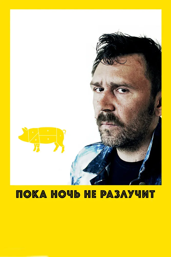 Пока ночь не разлучит 2012 смотреть онлайн бесплатно