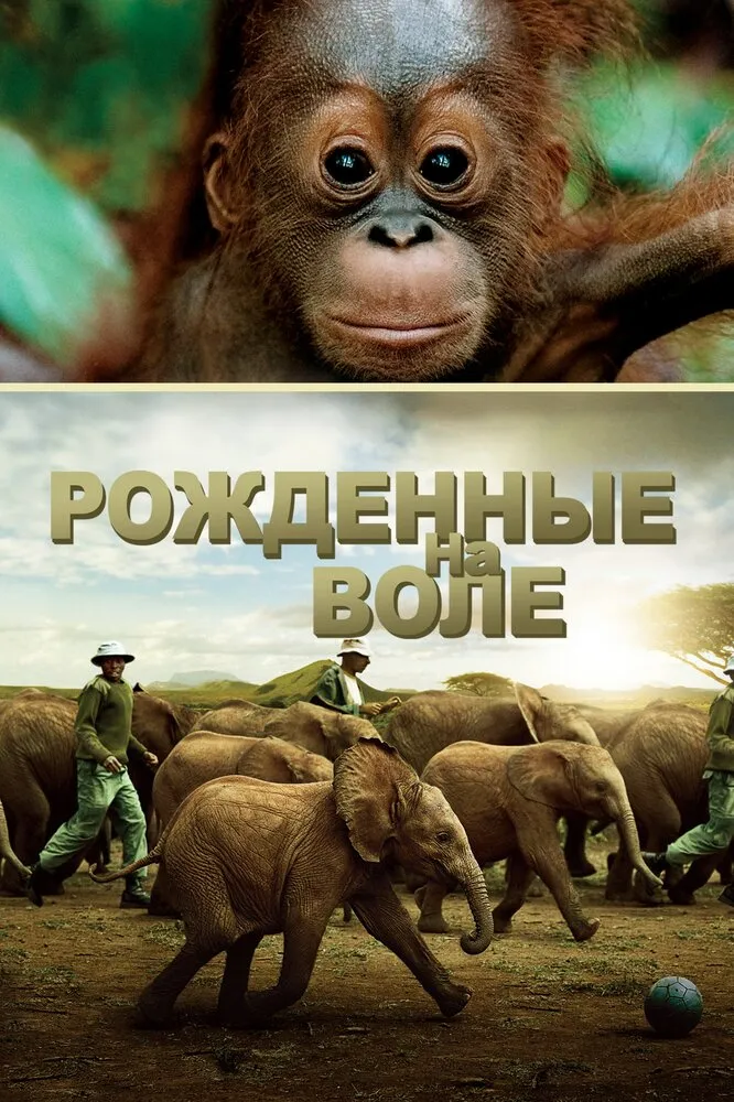 Рожденные на воле 2011 смотреть онлайн бесплатно