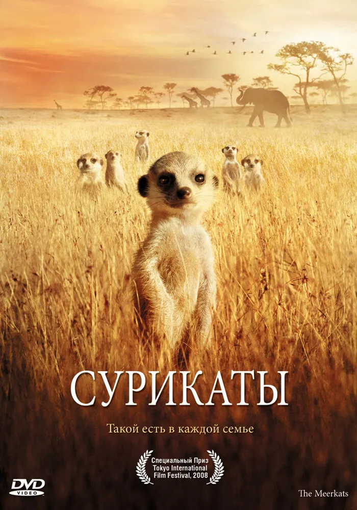 Сурикаты 2007 смотреть онлайн бесплатно