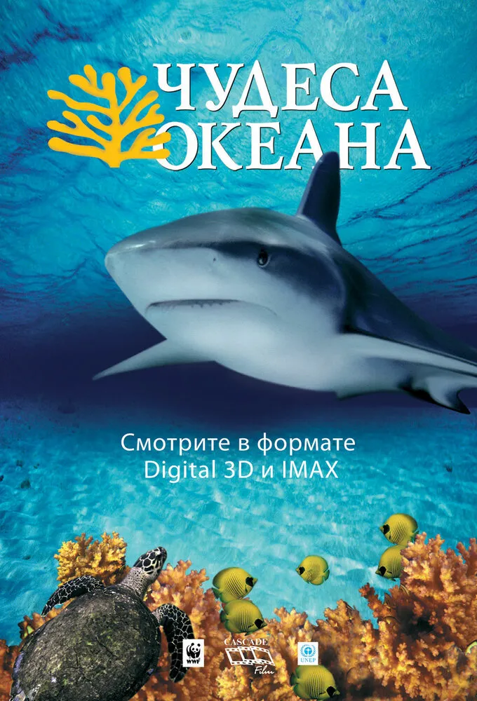 Чудеса океана 3D 2003 смотреть онлайн бесплатно
