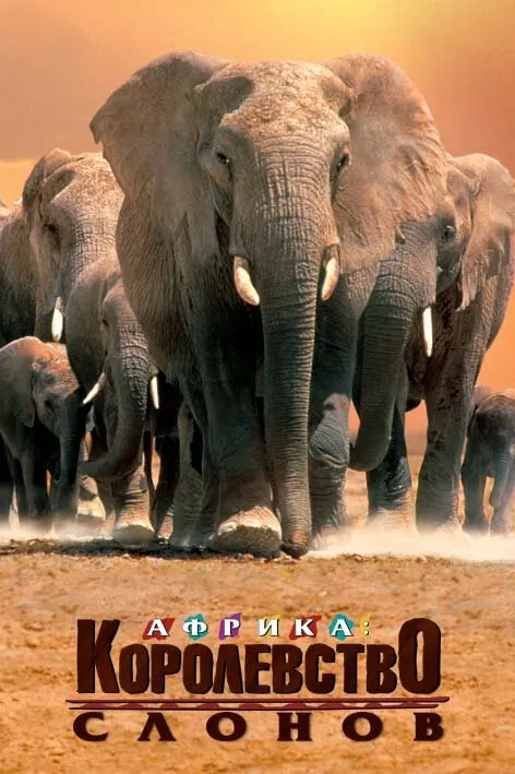 Африка - королевство слонов 1998 смотреть онлайн бесплатно