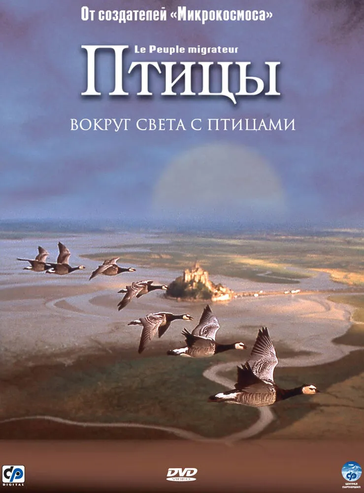 Птицы 2001 смотреть онлайн бесплатно
