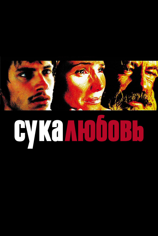 Сука-любовь 2000 смотреть онлайн бесплатно
