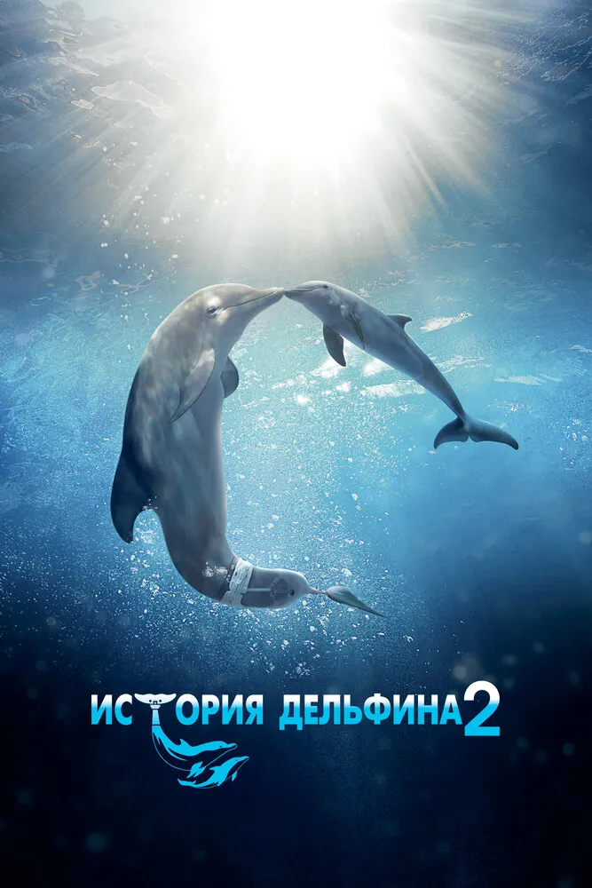 История дельфина 2 2014 смотреть онлайн бесплатно
