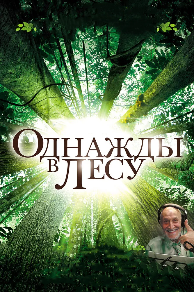 Однажды в лесу 2013 смотреть онлайн бесплатно