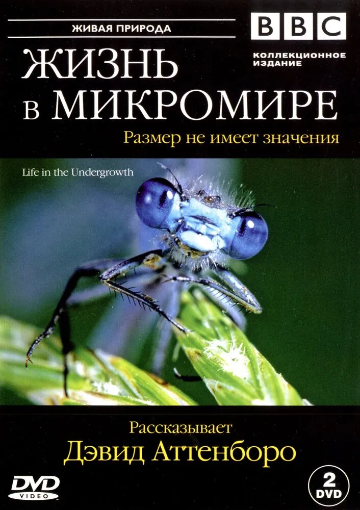 BBC: Жизнь в микромире 2005 смотреть онлайн бесплатно