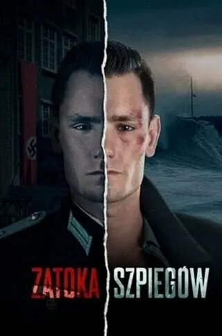Шпионский залив 2024 смотреть онлайн бесплатно