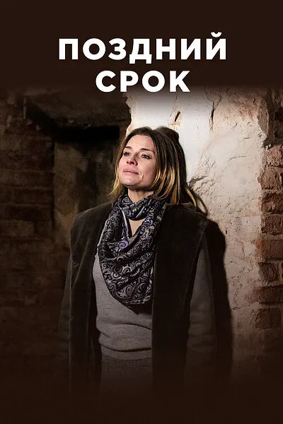 Поздний срок 2019 смотреть онлайн бесплатно