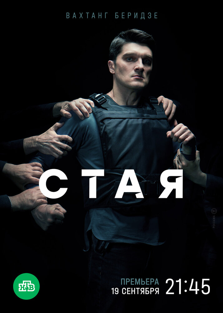 Стая 2022 смотреть онлайн бесплатно