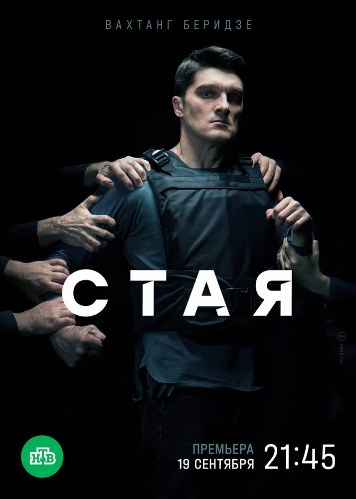 Стая 2022 смотреть онлайн бесплатно
