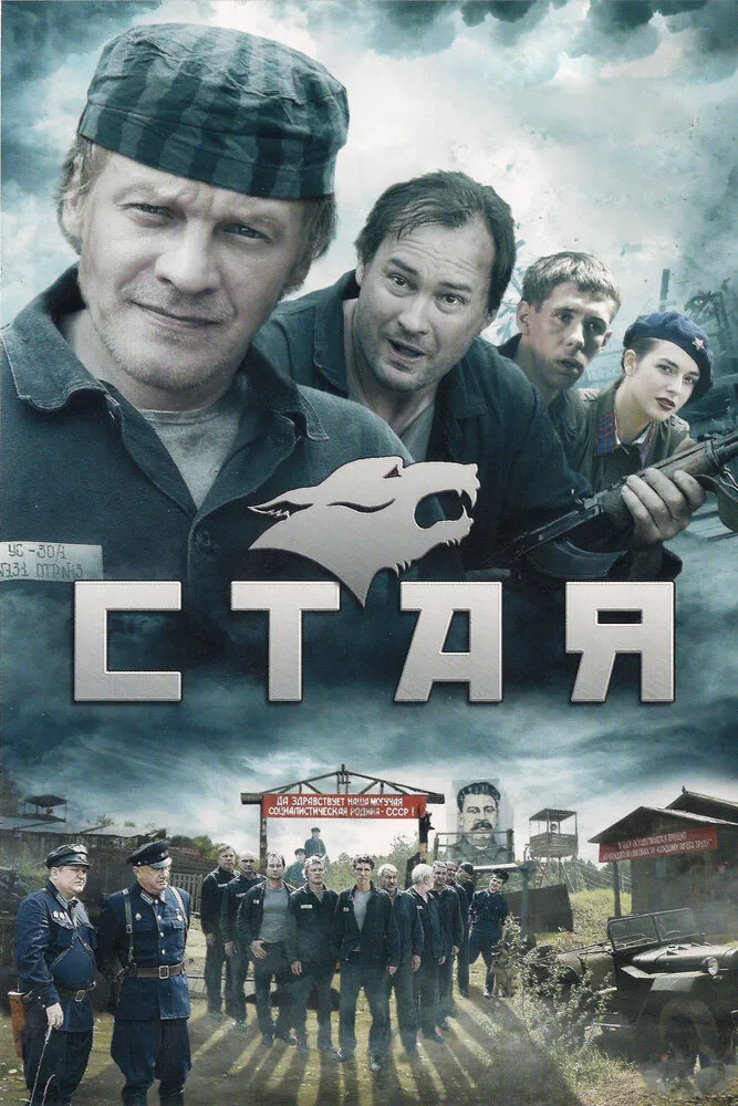 Стая 2009 смотреть онлайн бесплатно
