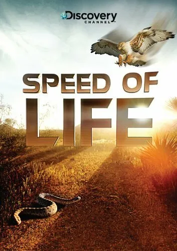 Discovery: Скорость жизни 2010 смотреть онлайн бесплатно