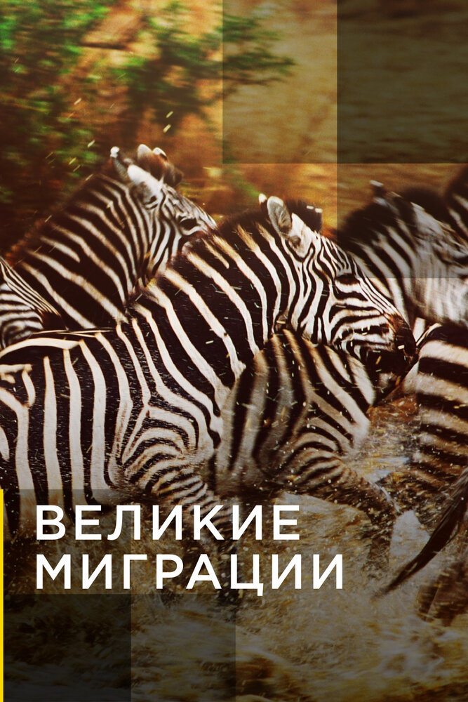 Великие миграции 2010 смотреть онлайн бесплатно