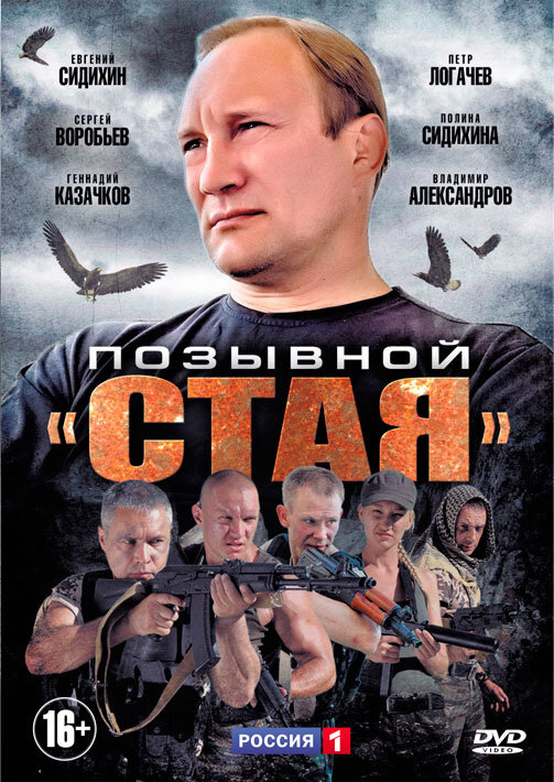 Позывной «Стая» 2013 смотреть онлайн бесплатно