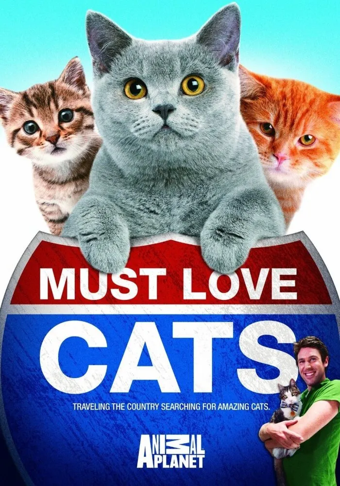 Кошек не любить нельзя 2011 смотреть онлайн бесплатно