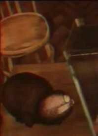 Лень 1979 смотреть онлайн бесплатно